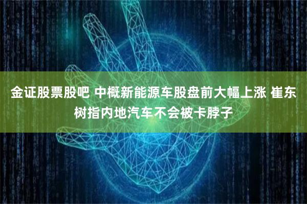 金证股票股吧 中概新能源车股盘前大幅上涨 崔东树指内地汽车不会被卡脖子