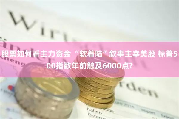 股票如何看主力资金 “软着陆”叙事主宰美股 标普500指数年前触及6000点?