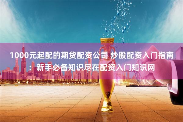 1000元起配的期货配资公司 炒股配资入门指南：新手必备知识尽在配资入门知识网